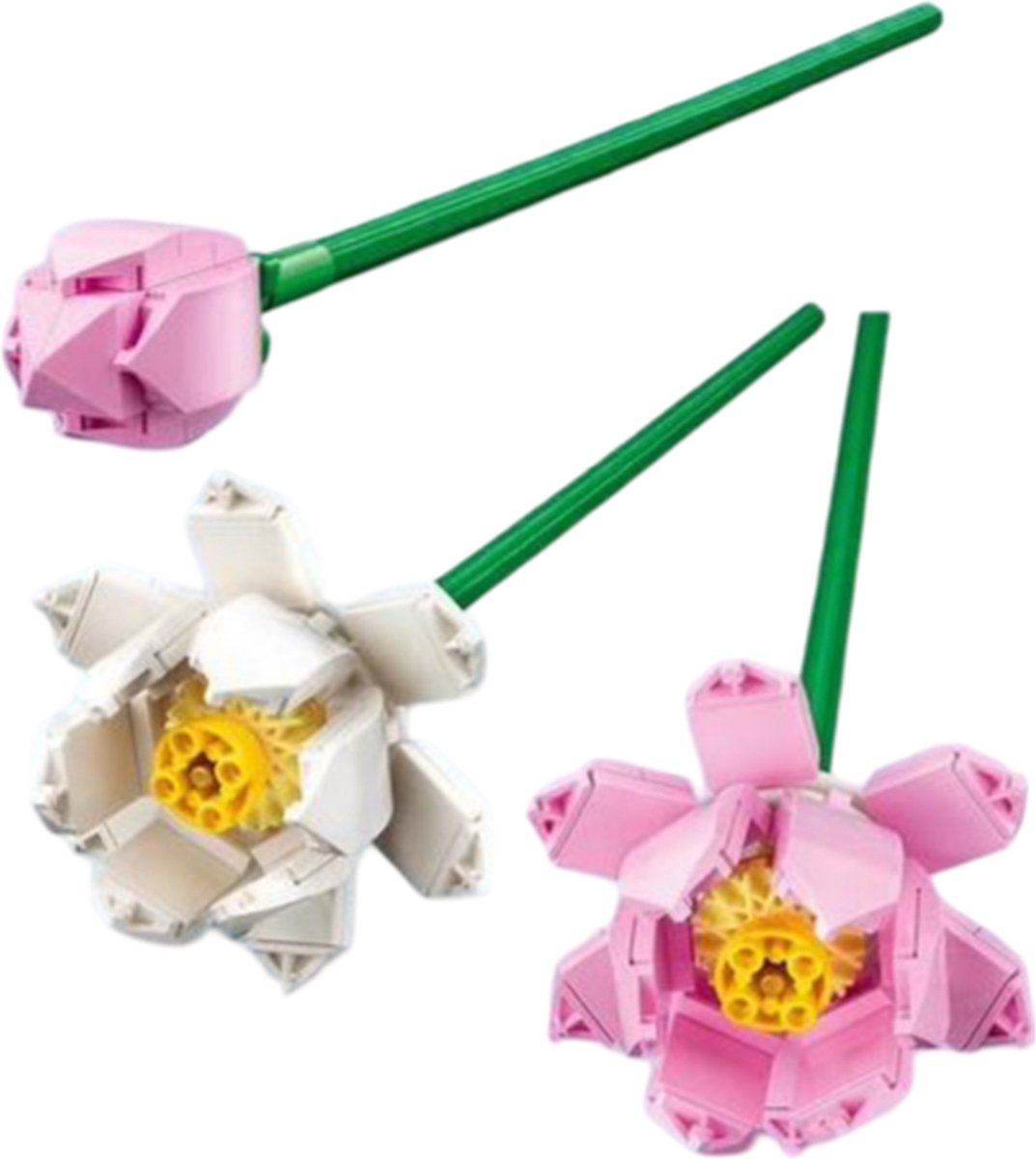 LEGO Lotus Bloemen Creatieve Set - 40647