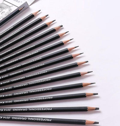 Sans marque Professionele Grafiet- en Schetspotlodenset 14-delig