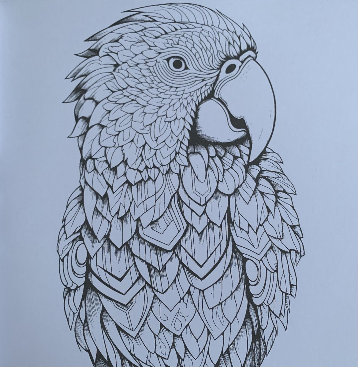 DecoTime XL Kleurboek voor Volwassenen - Dieren - 128 Pagina's