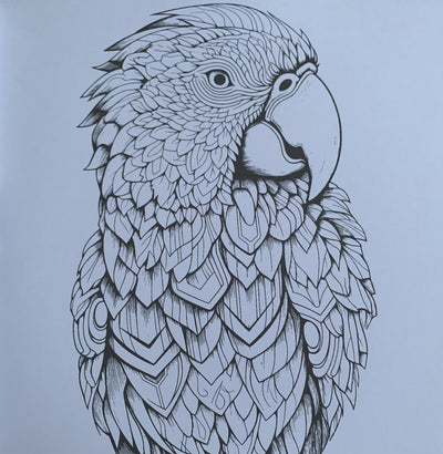 DecoTime XL Kleurboek voor Volwassenen - Dieren - 128 Pagina's