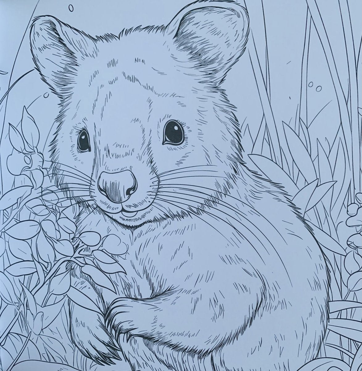 DecoTime XL Kleurboek voor Volwassenen - Dieren - 128 Pagina's