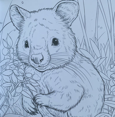 DecoTime XL Kleurboek voor Volwassenen - Dieren - 128 Pagina's