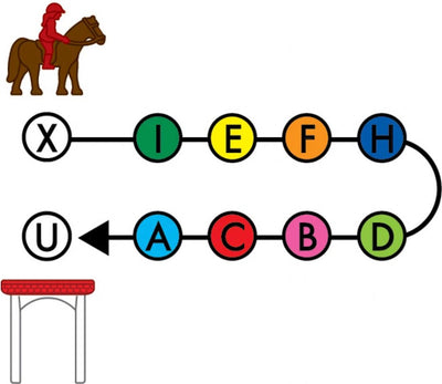 SmartGames Paardenacademie - Denkspel voor Kinderen