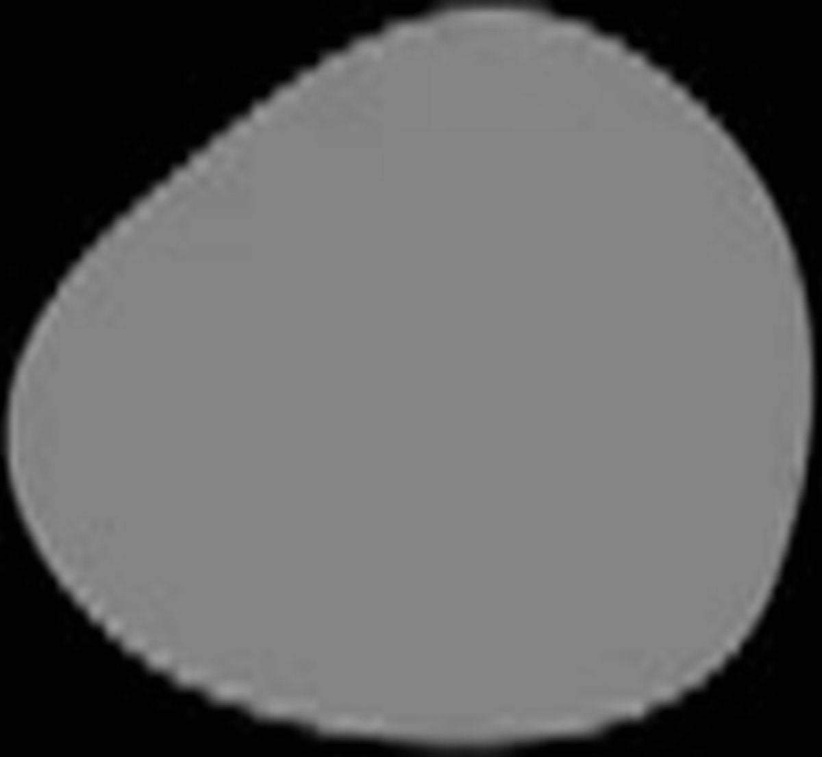 Geronimo Games TACO KAT GEIT KAAS PIZZA Kaartspel