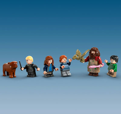 LEGO Harry Potter Hagrids Huis: Onverwachte Bezoeker - 76428
