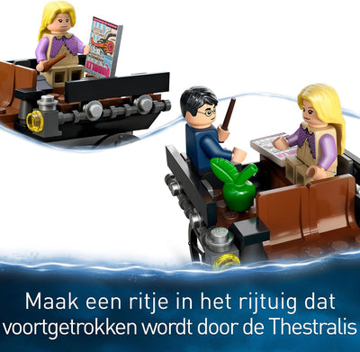 LEGO Harry Potter Zweinsveld Koets en Thestrals - 76400
