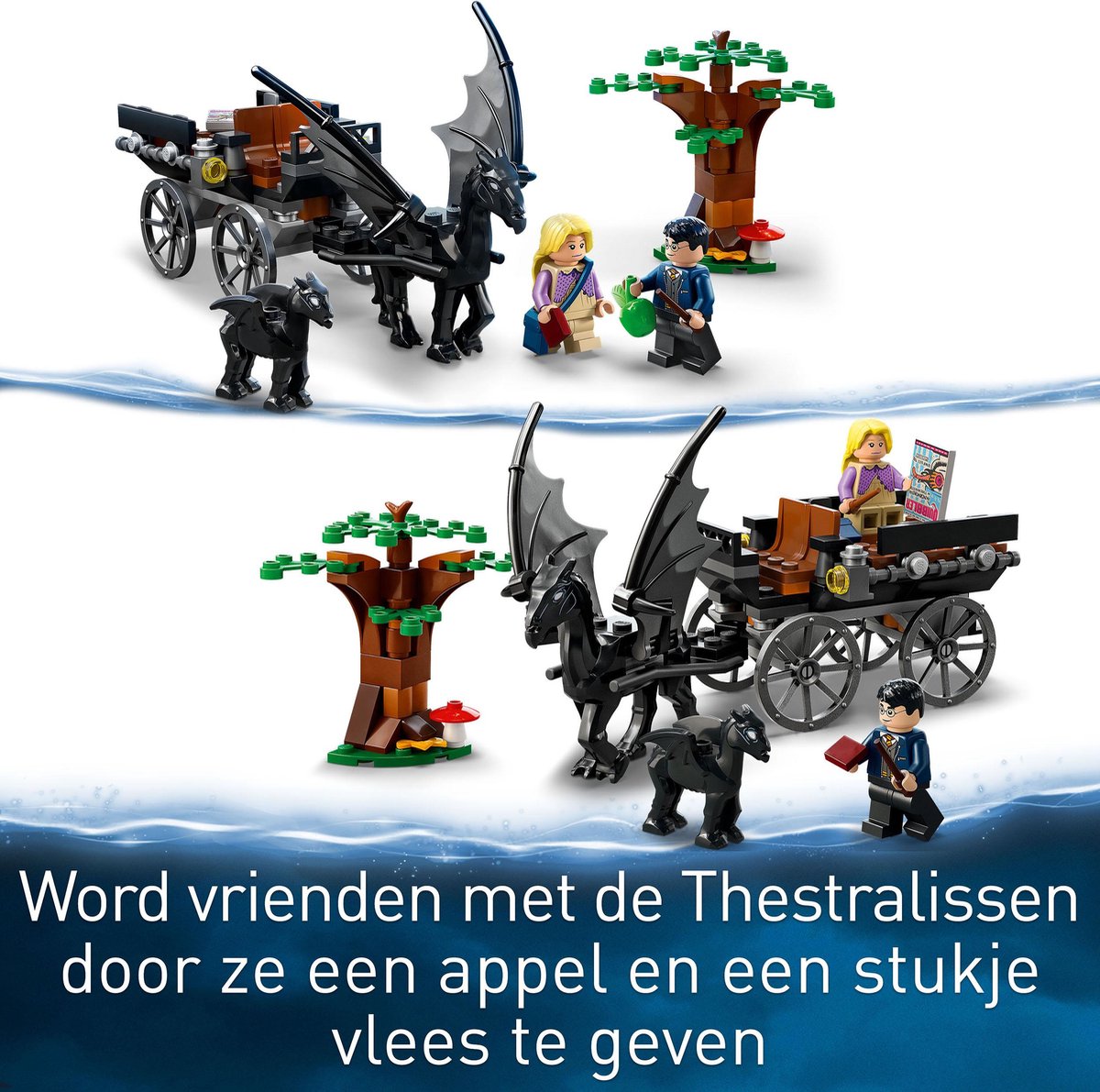 LEGO Harry Potter Zweinsveld Koets en Thestrals - 76400