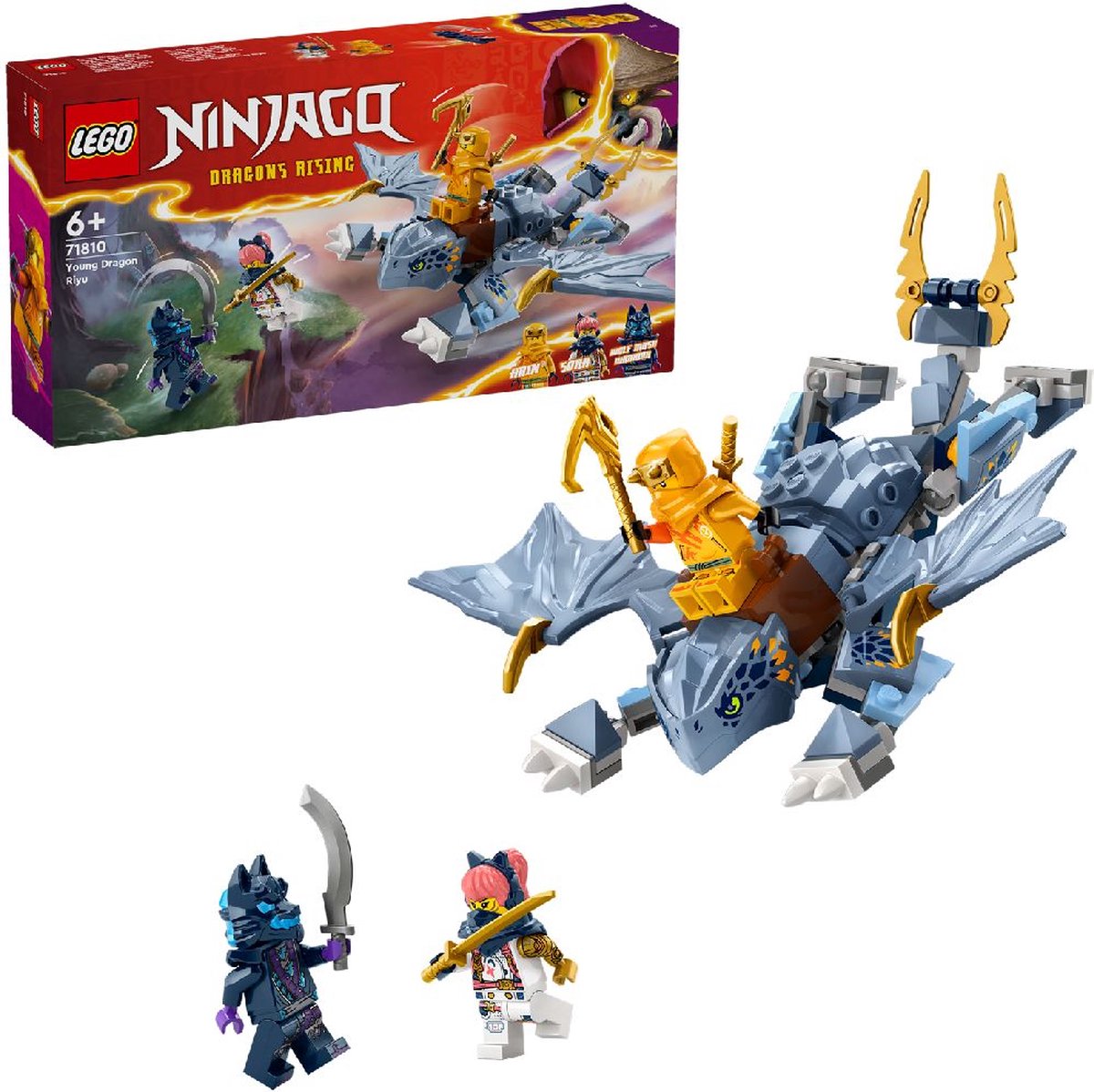 LEGO Ninjago Jonge Draak Riyu - 71810