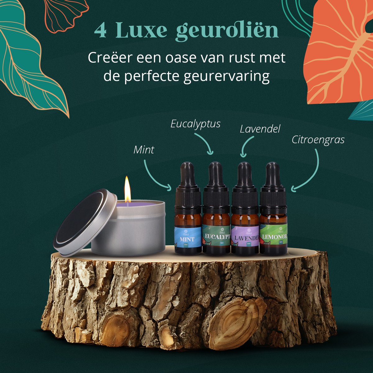 Home of Creations DIY Soja Kaarsenpakket voor Volwassenen