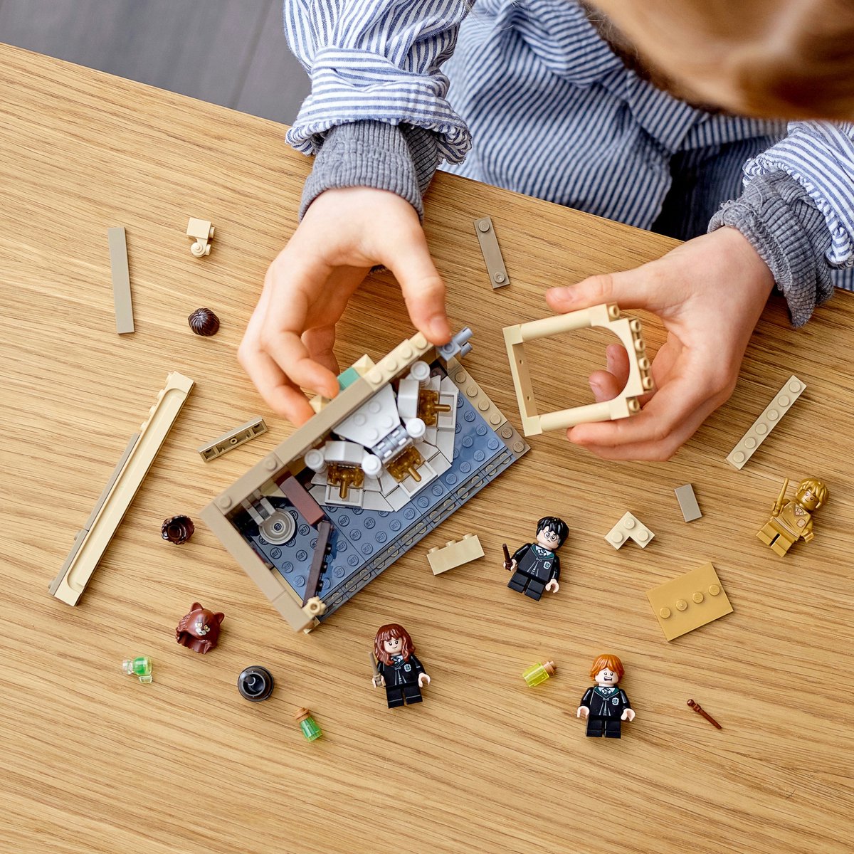 LEGO Harry Potter Poudlard: Fout van de Wisseldrank - 76386