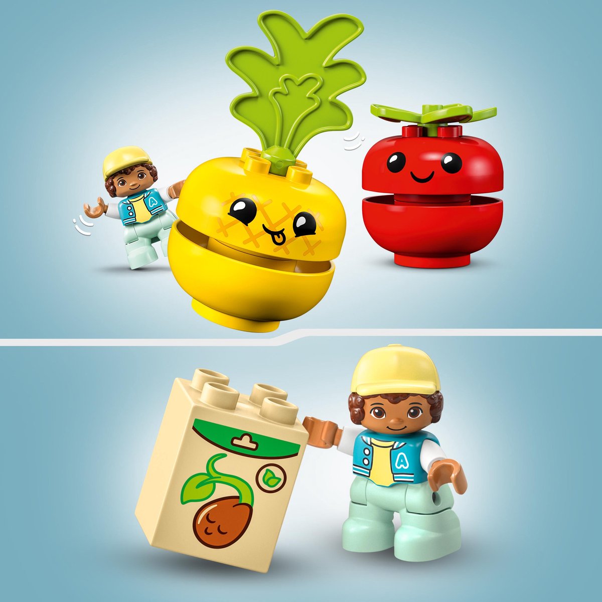 LEGO DUPLO Mijn Eerste Fruit- en Groenteset - 10982