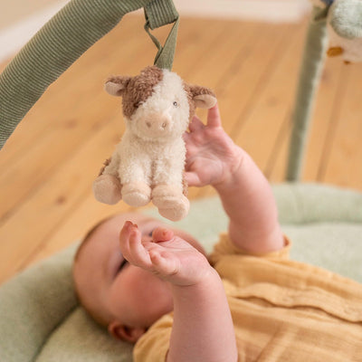 Little Dutch - Little Farm Baby Gym met Speelkleed & Knopen