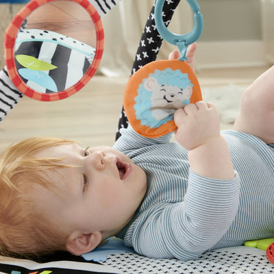Fisher-Price 3-in-1 Sensorisch Speelkleed