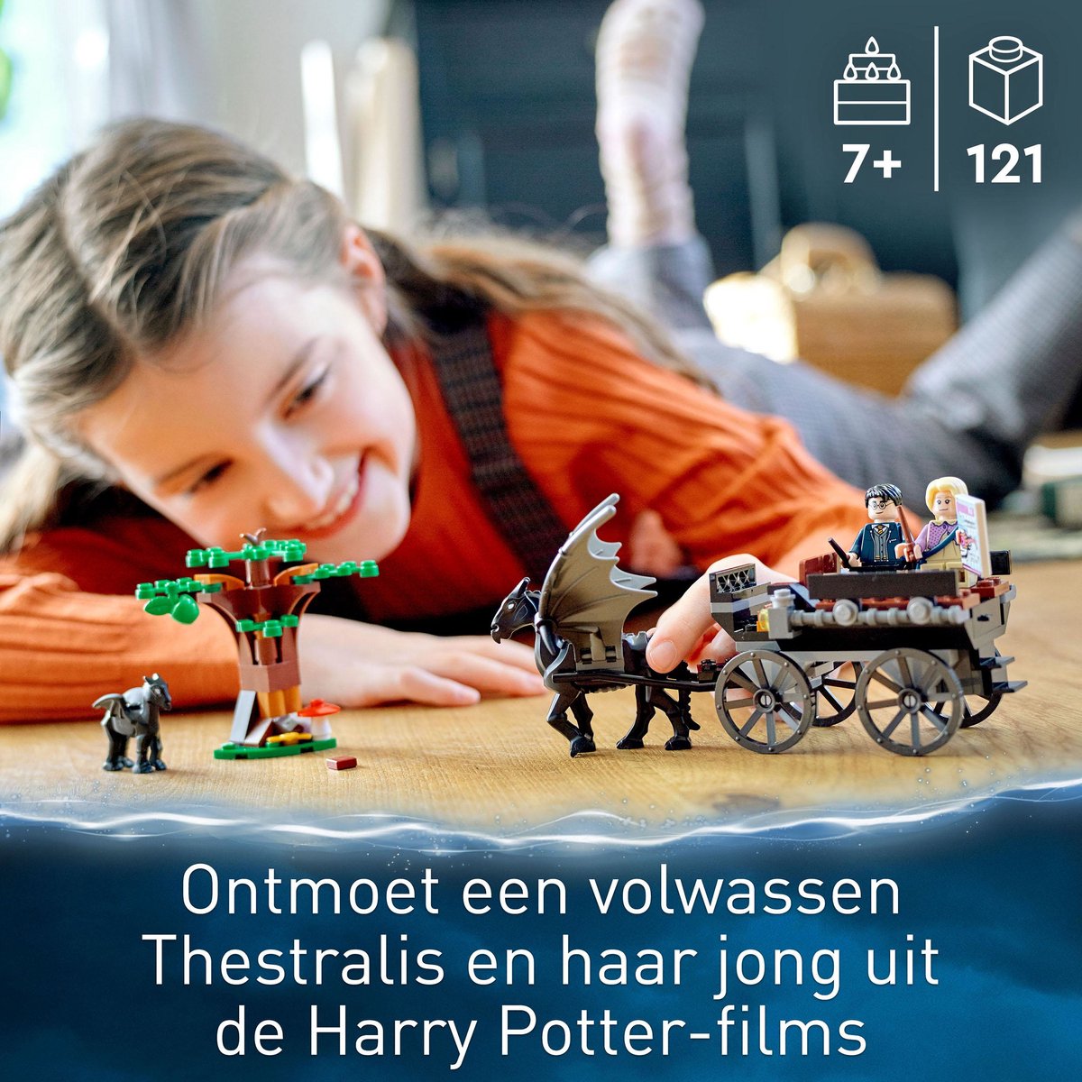 LEGO Harry Potter Zweinsveld Koets en Thestrals - 76400