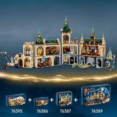 LEGO Harry Potter Poudlard: Fout van de Wisseldrank - 76386