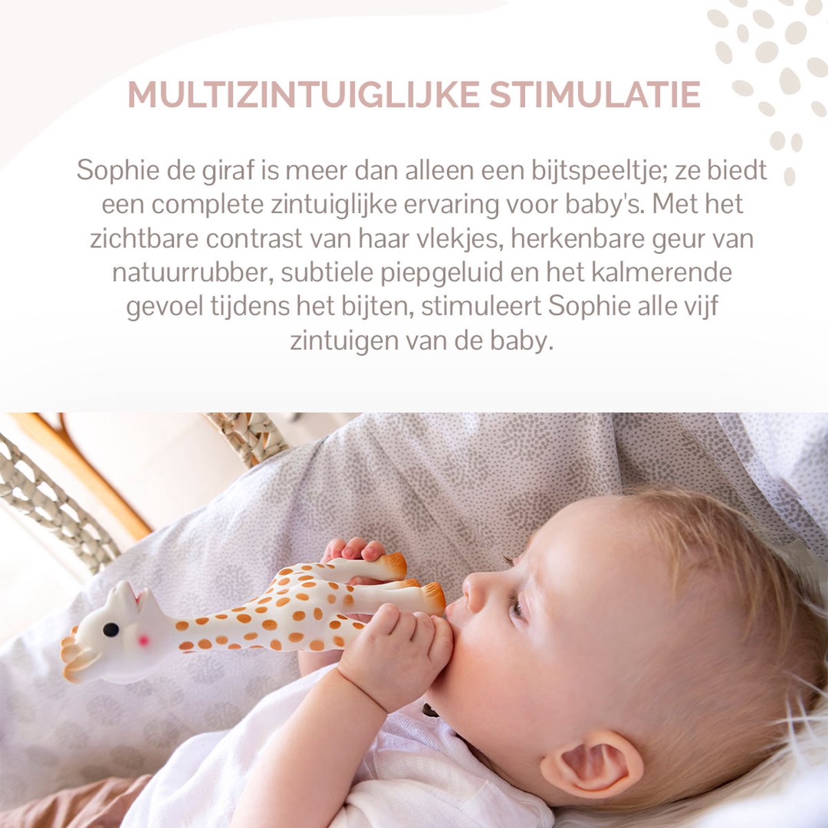 Sophie de Giraf Baby Speelgoed in Luxe Cadeauset