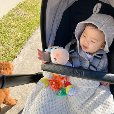 Playgro Clip Clop Activiteitenrammelaar - Blauw