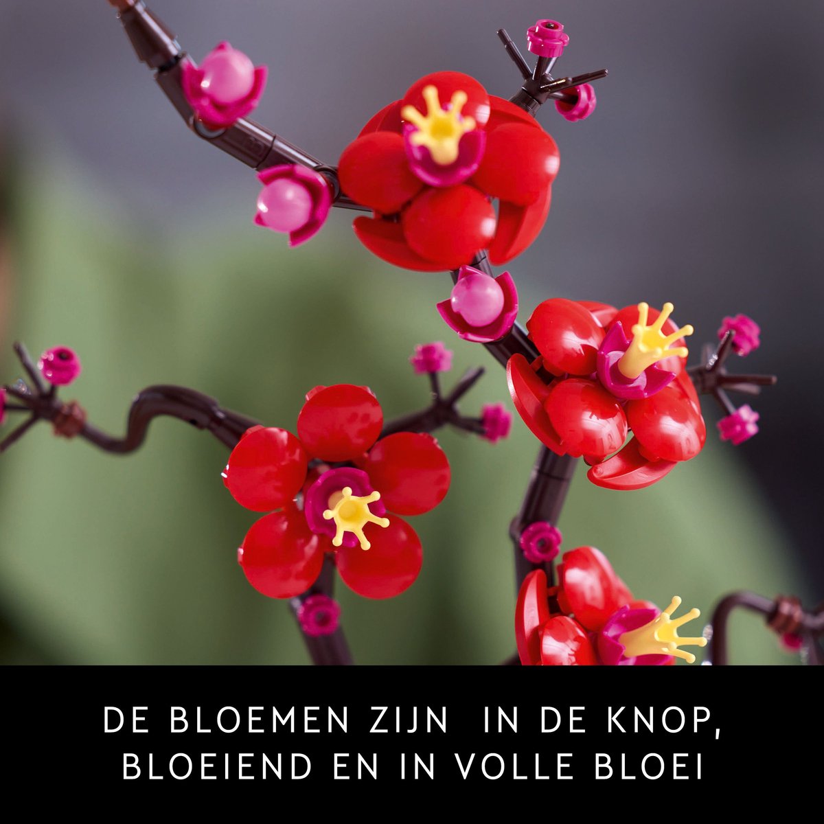 LEGO Icons Japanse Abrikozenboom - Botanische Collectie (10369)