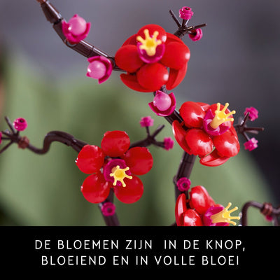 LEGO Icons Japanse Abrikozenboom - Botanische Collectie (10369)