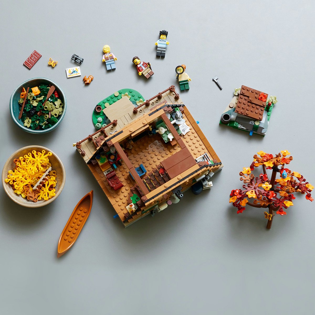 LEGO Ideas 21338 Bouwset voor Creatieve Geesten