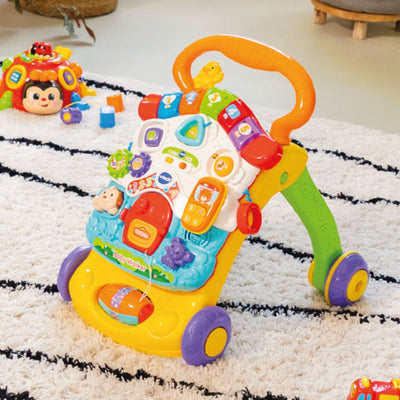VTech Loopwagen Baby Walker - Leer en Ontdek