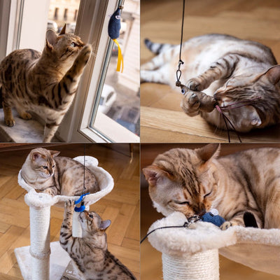 BeGreat Pretty Kitty Vegan XL Speelgoedset voor Katten