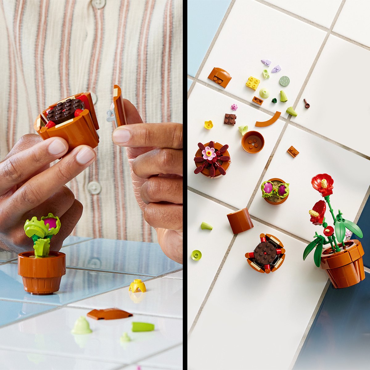 LEGO Icons Mini Plantenset - 10329