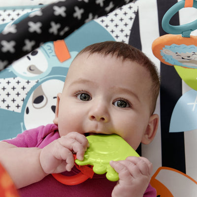 Fisher-Price 3-in-1 Sensorisch Speelkleed