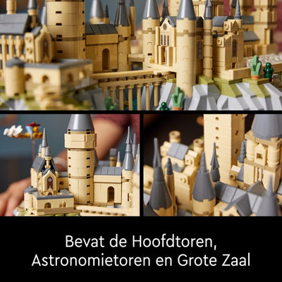 LEGO Harry Potter Kasteel & Tuinen van Zweinstein - 76419