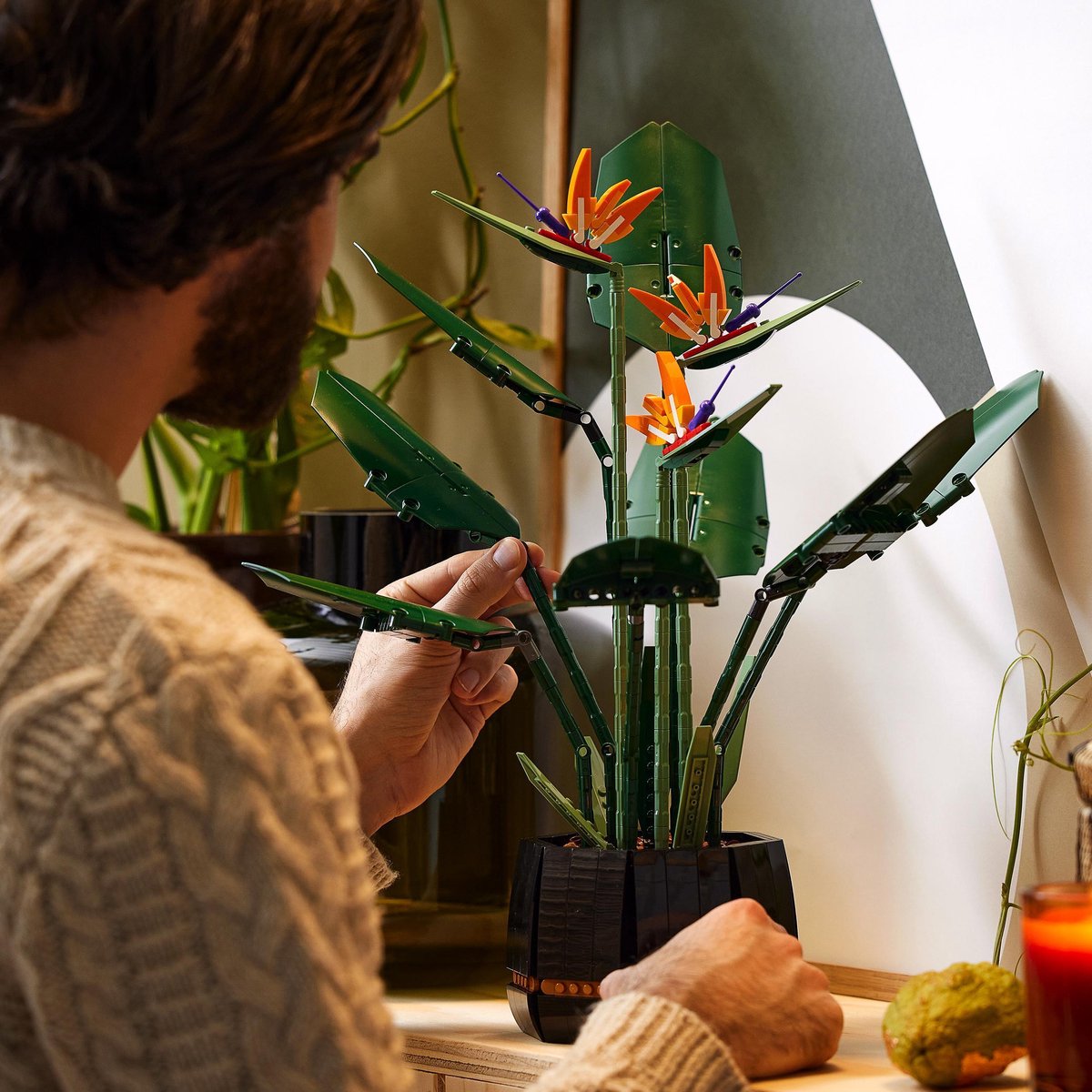 LEGO Creator Expert Icons Paradijsvogel - 10289