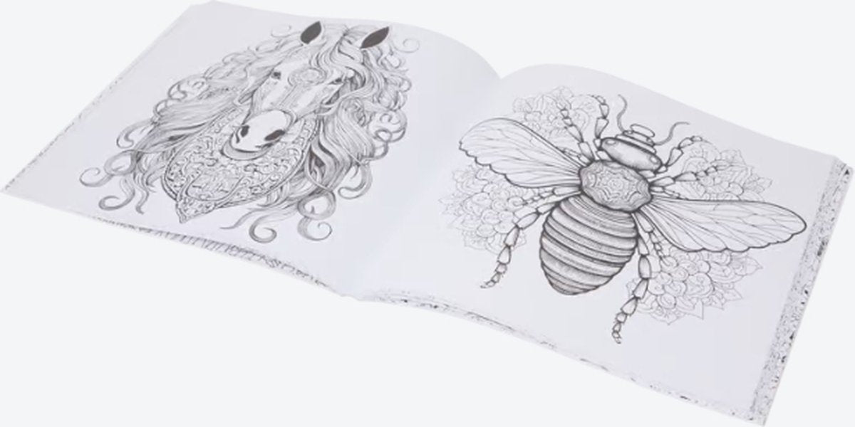 DecoTime XL Kleurboek voor Volwassenen - Dieren - 128 Pagina's