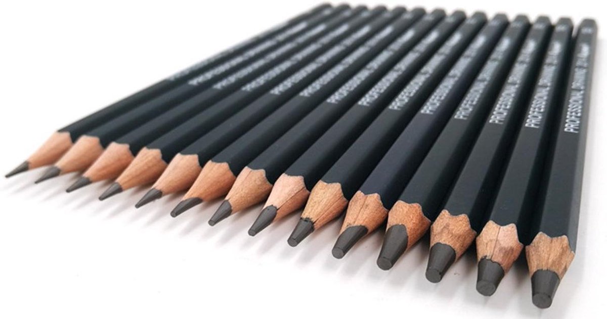Sans marque Professionele Grafiet- en Schetspotlodenset 14-delig