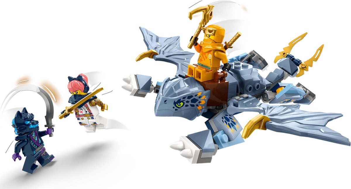 LEGO Ninjago Jonge Draak Riyu - 71810