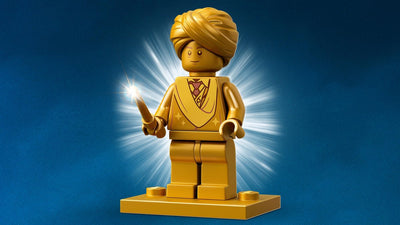 LEGO Harry Potter Zweinstein: De Eerste Vliegles - 76395