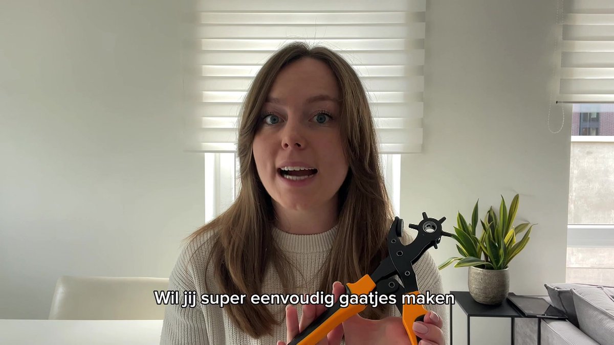 SolidStock Professionele Gaatjestang voor Riemen