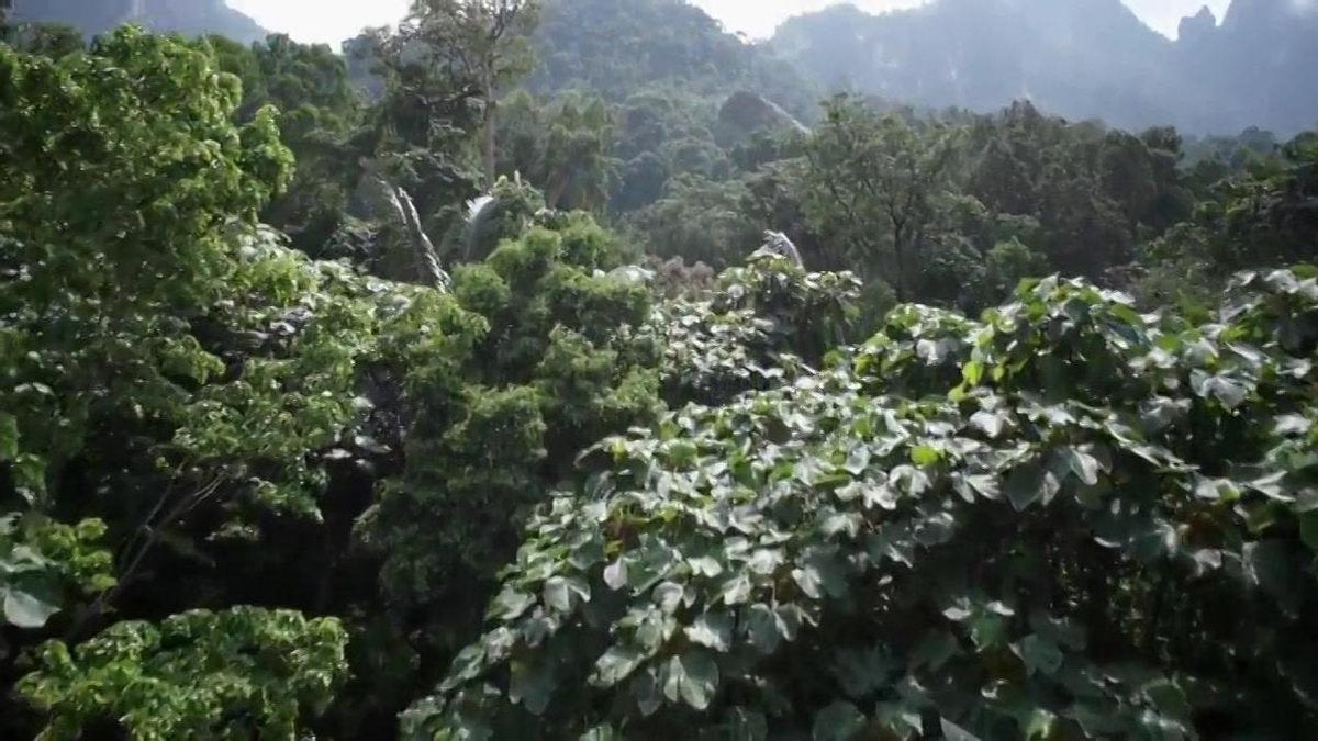 Sophie de Giraf Baby Speelgoed in Luxe Cadeauset