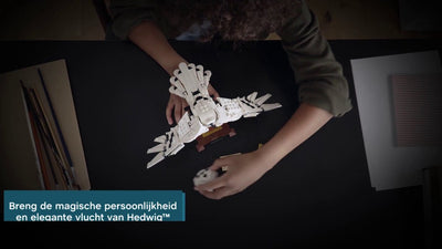 LEGO Harry Potter Magische Uil Hedwig - Model 75979