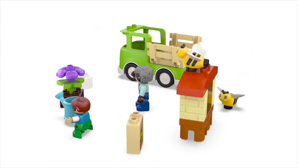 LEGO DUPLO Bijen en Rijken - 10419