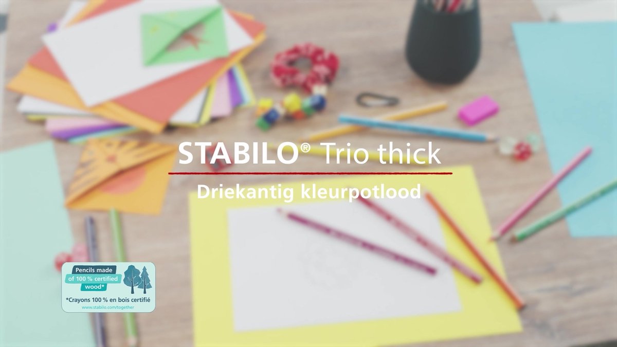 STABILO Trio Dikke Kleurpotloden - Set van 24 Kleuren