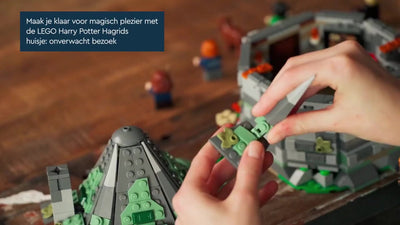 LEGO Harry Potter Hagrids Huis: Onverwachte Bezoeker - 76428