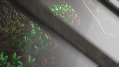 LEGO Harry Potter Mandragora Planten Set - 76433