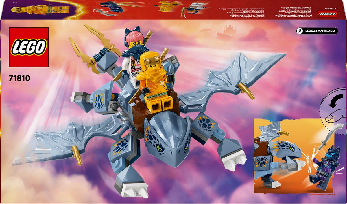 LEGO Ninjago Jonge Draak Riyu - 71810