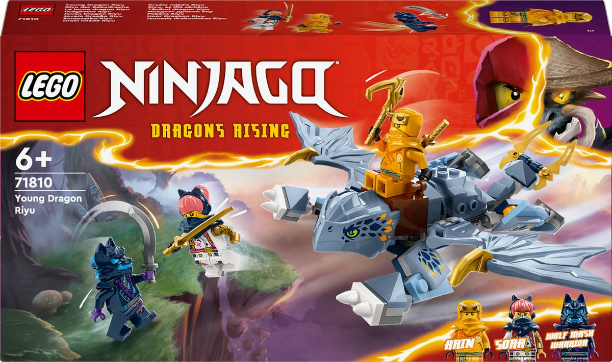 LEGO Ninjago Jonge Draak Riyu - 71810