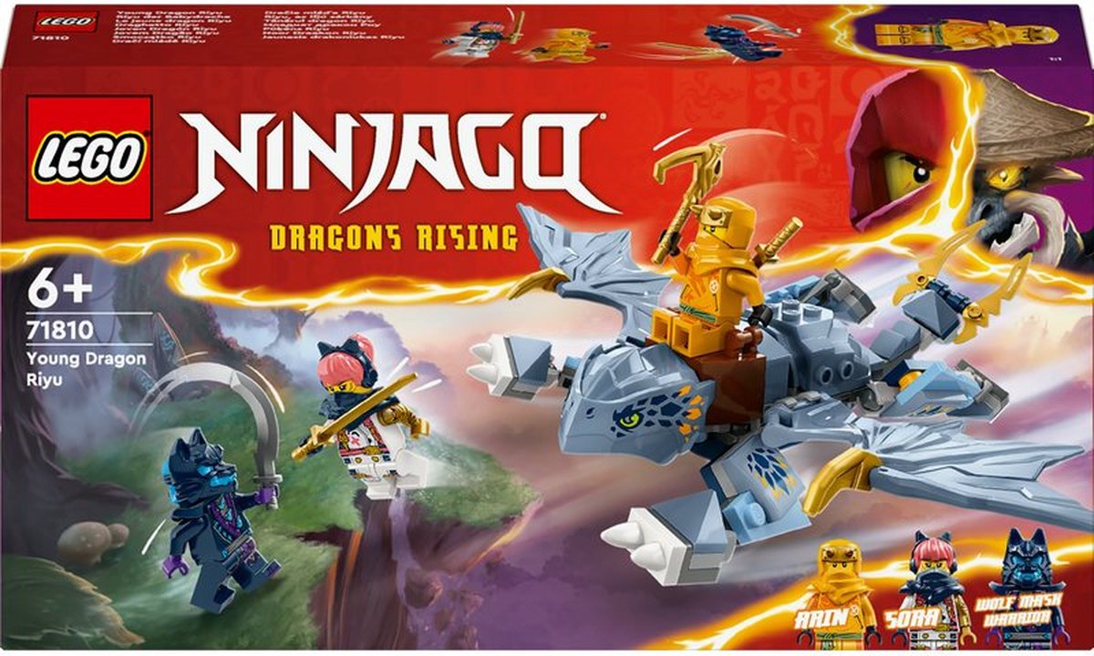 LEGO Ninjago Jonge Draak Riyu - 71810