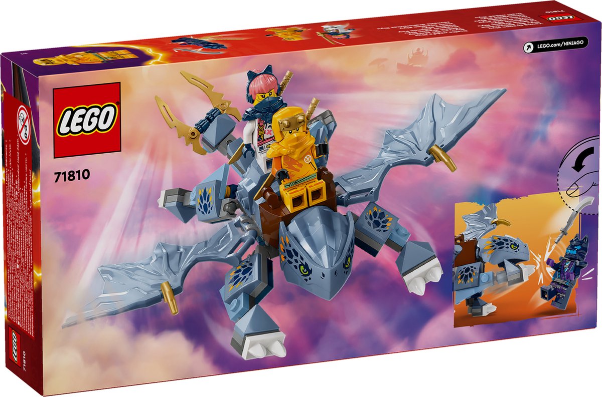 LEGO Ninjago Jonge Draak Riyu - 71810