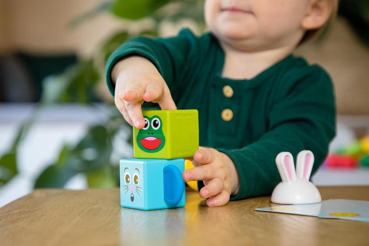 SmartMax Mijn Eerste Totem Bouwset