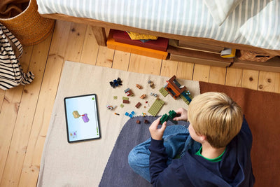 LEGO Minecraft Mijnavontuur met Tatou's - 21269