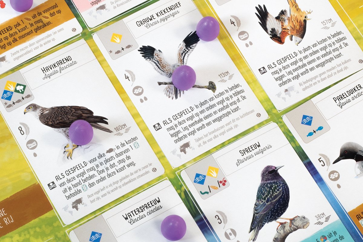 999 Games Vleugelwijdte Europa Uitbreiding