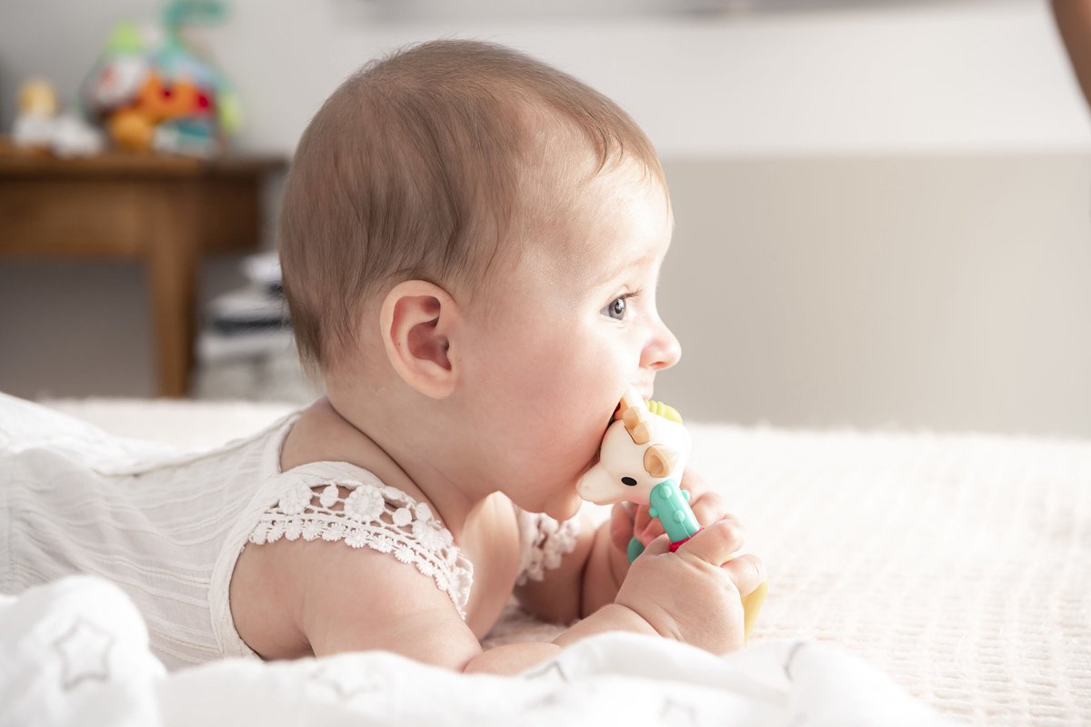 Sophie de Giraf Multi-Textuur Rammelaar Rood/Wit