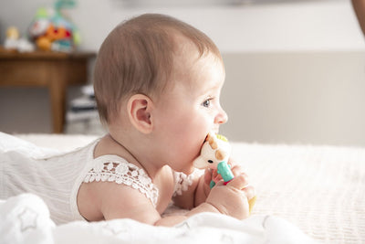 Sophie de Giraf Multi-Textuur Rammelaar Rood/Wit